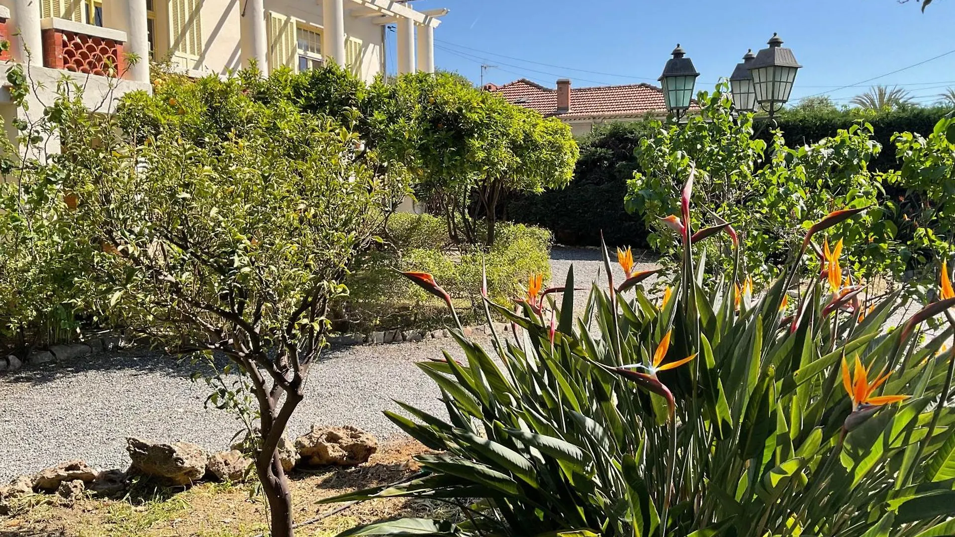 Lägenhet Villa La Provence Hyères Frankrike
