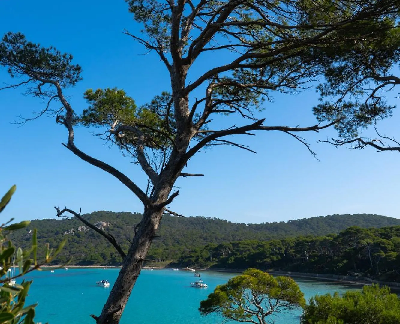 Villa La Provence Hyères Lägenhet